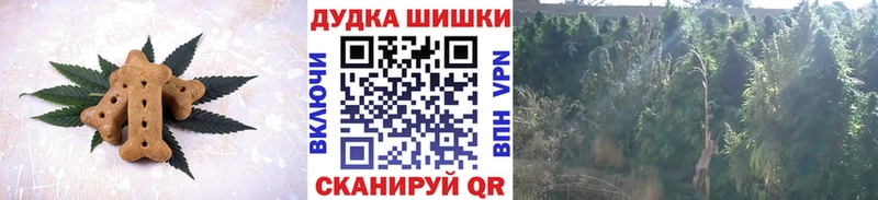 Печенье с ТГК марихуана  Купить закладки  Гаджиево 