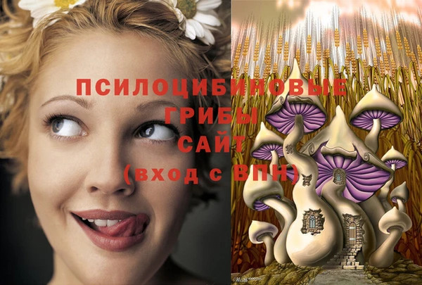экстази Карпинск