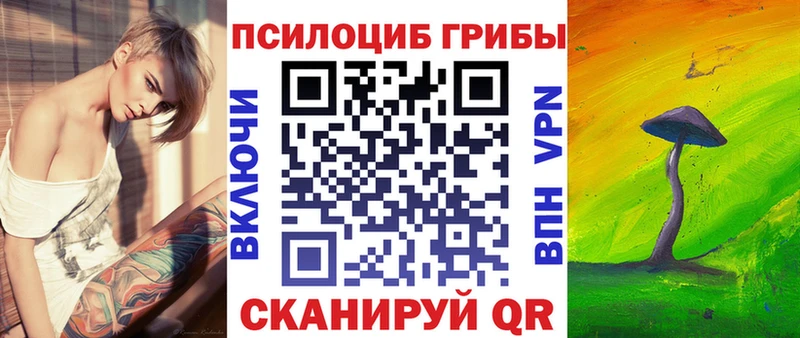 Галлюциногенные грибы Magic Shrooms  Купить закладки  Гаджиево 